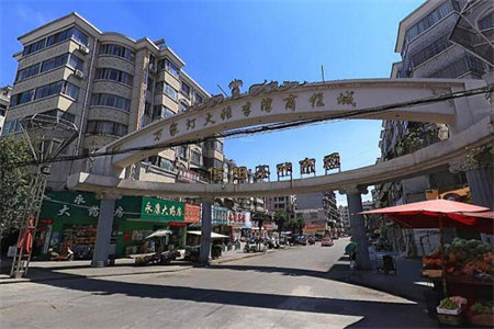 龙都现代城2室1厅1卫79㎡精装带车库
